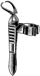 Towel forceps