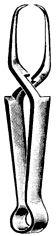 Towel forceps