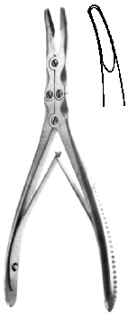 Bone Ronguers